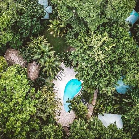 Copal Tree Lodge A Muy'Ono Resort Toledo District ภายนอก รูปภาพ