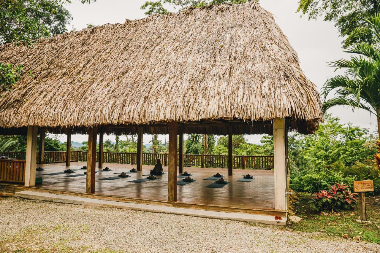 Copal Tree Lodge A Muy'Ono Resort Toledo District ภายนอก รูปภาพ