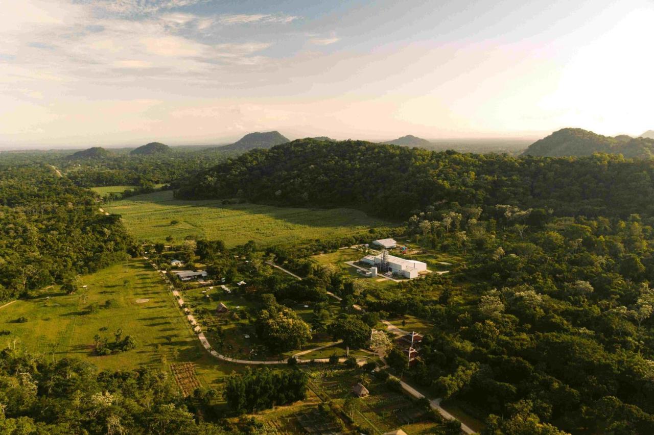Copal Tree Lodge A Muy'Ono Resort Toledo District ภายนอก รูปภาพ