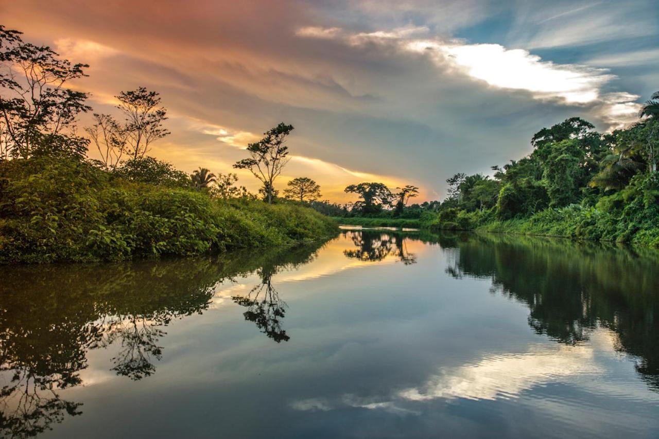Copal Tree Lodge A Muy'Ono Resort Toledo District ภายนอก รูปภาพ