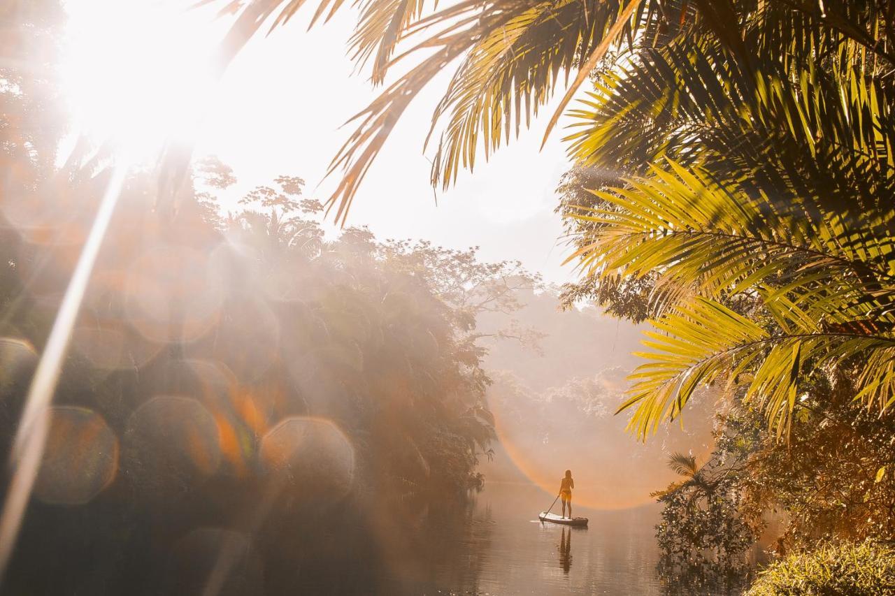 Copal Tree Lodge A Muy'Ono Resort Toledo District ภายนอก รูปภาพ