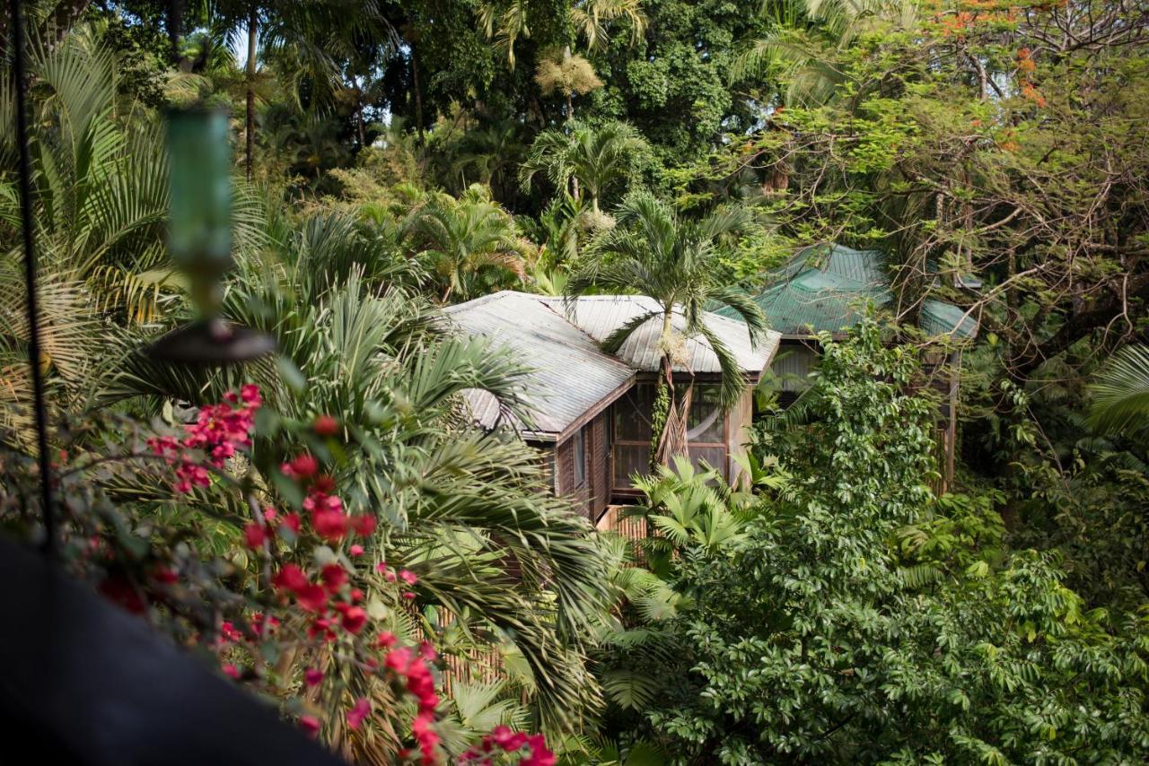 Copal Tree Lodge A Muy'Ono Resort Toledo District ภายนอก รูปภาพ