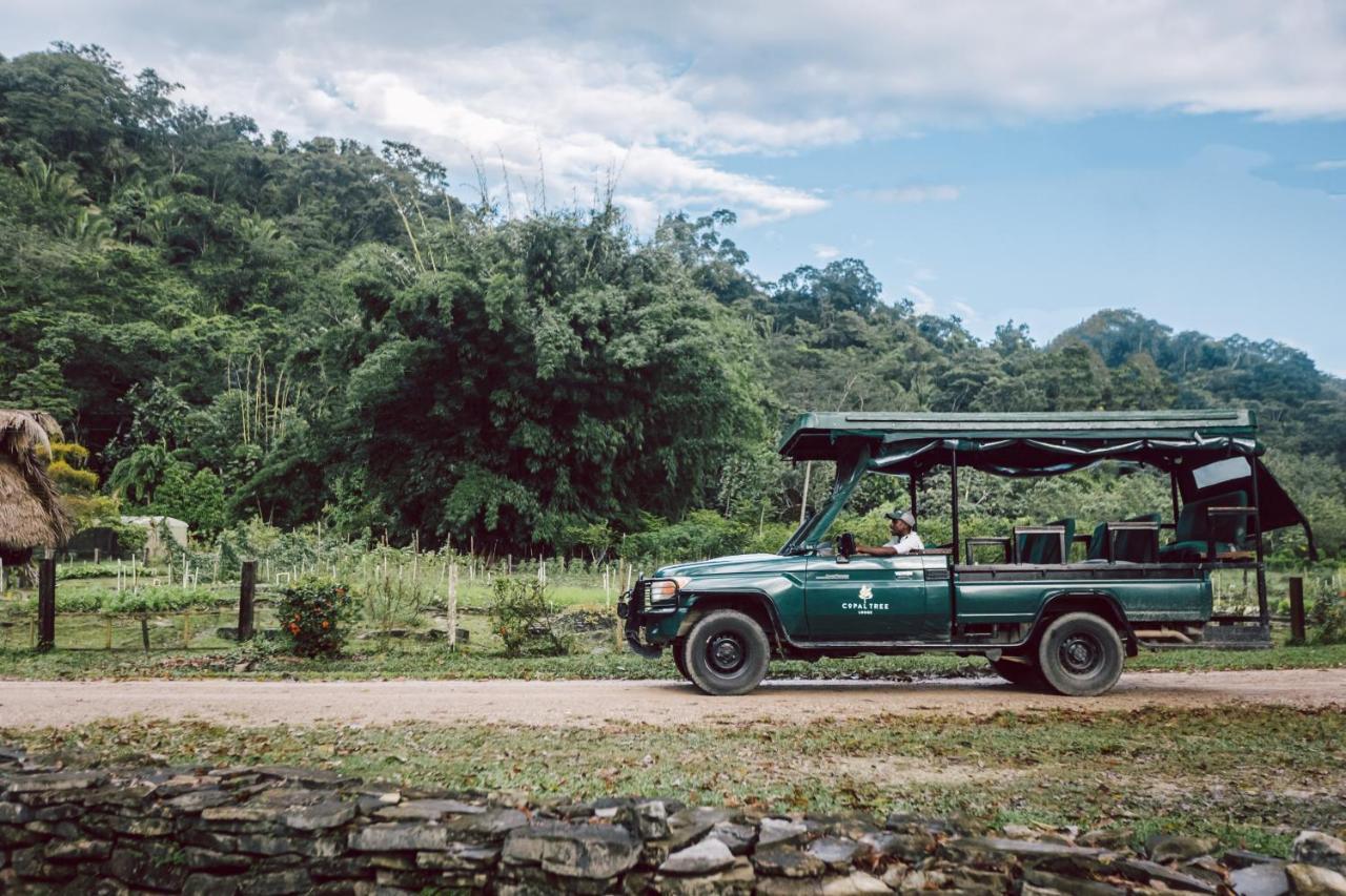 Copal Tree Lodge A Muy'Ono Resort Toledo District ภายนอก รูปภาพ