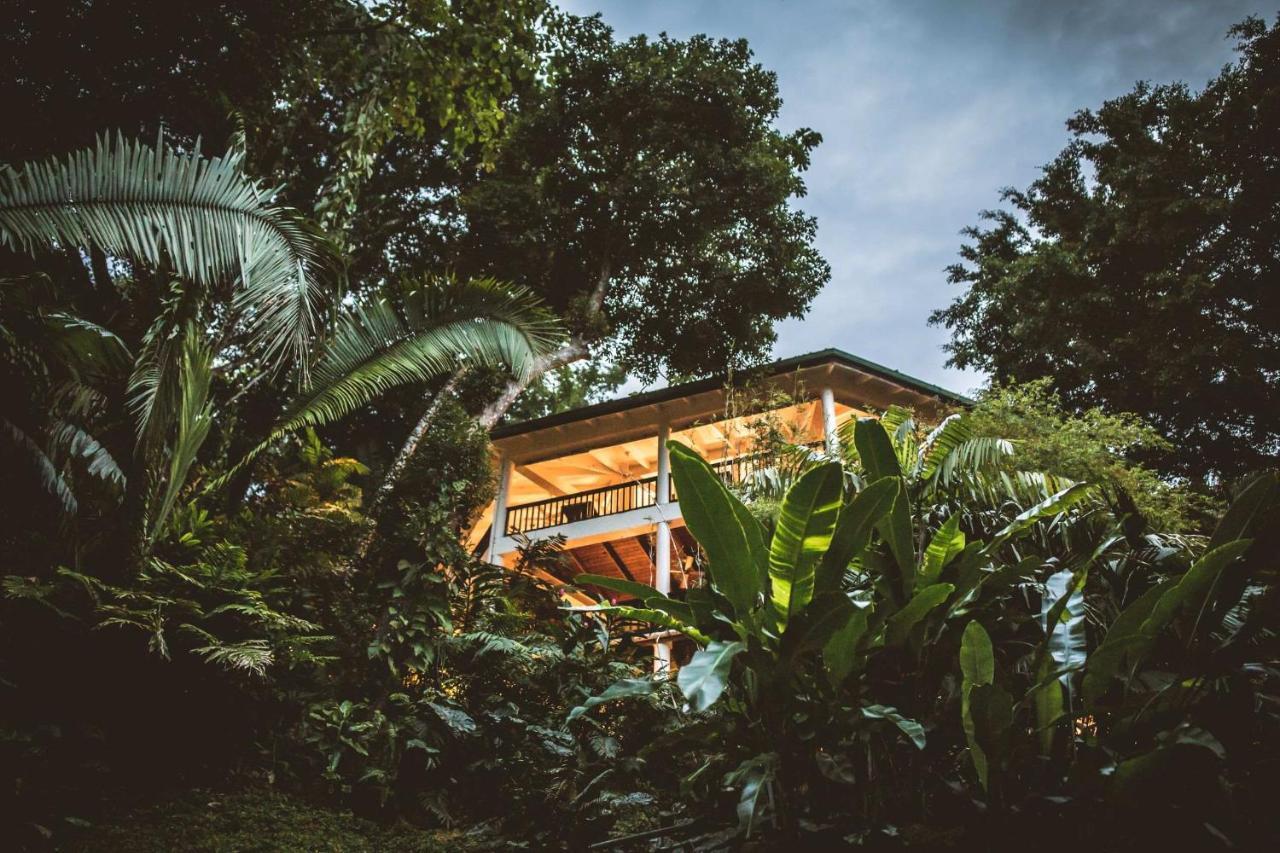 Copal Tree Lodge A Muy'Ono Resort Toledo District ภายนอก รูปภาพ
