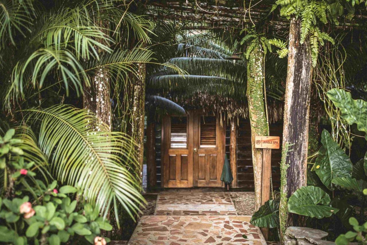 Copal Tree Lodge A Muy'Ono Resort Toledo District ภายนอก รูปภาพ